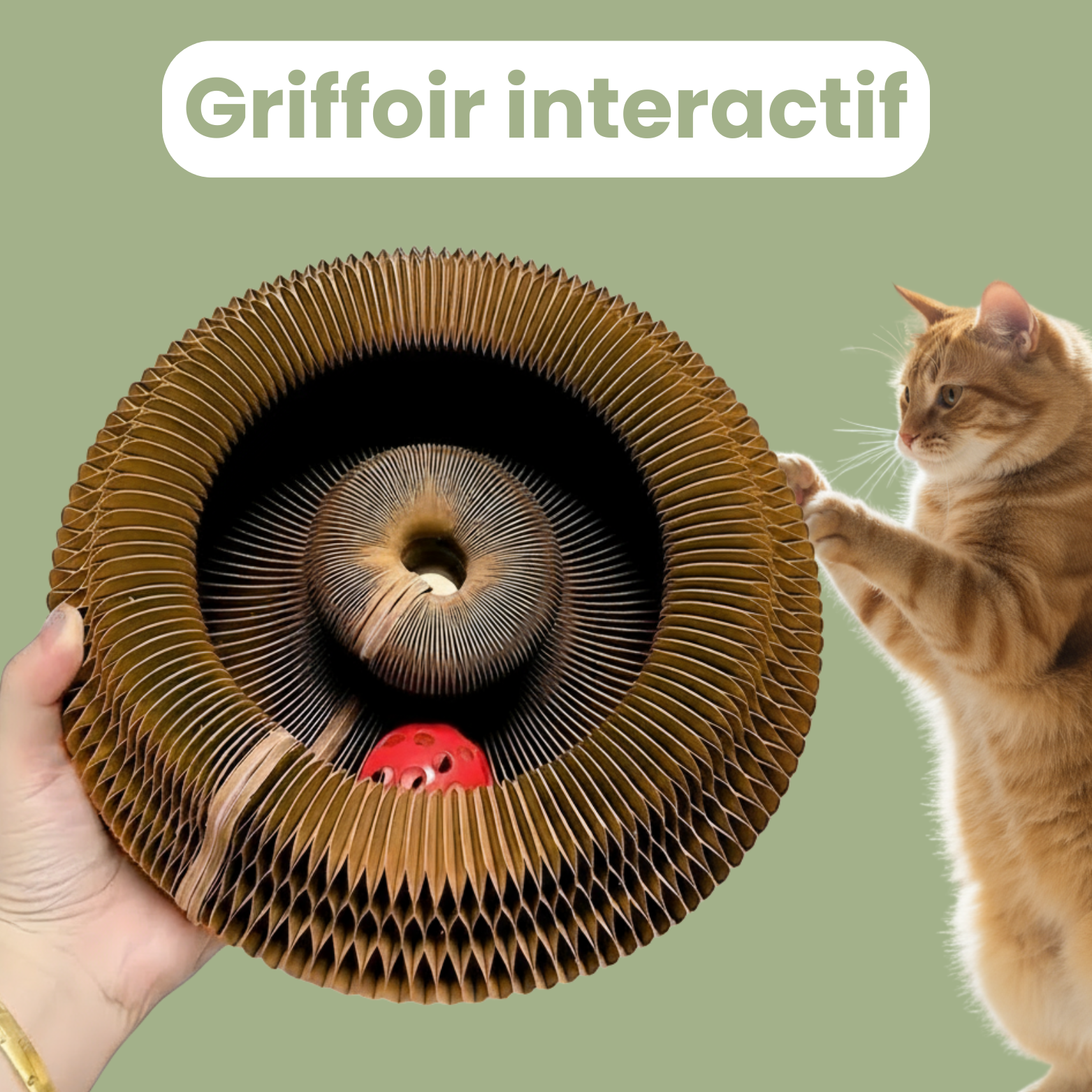 Griffoir interactif pour chats